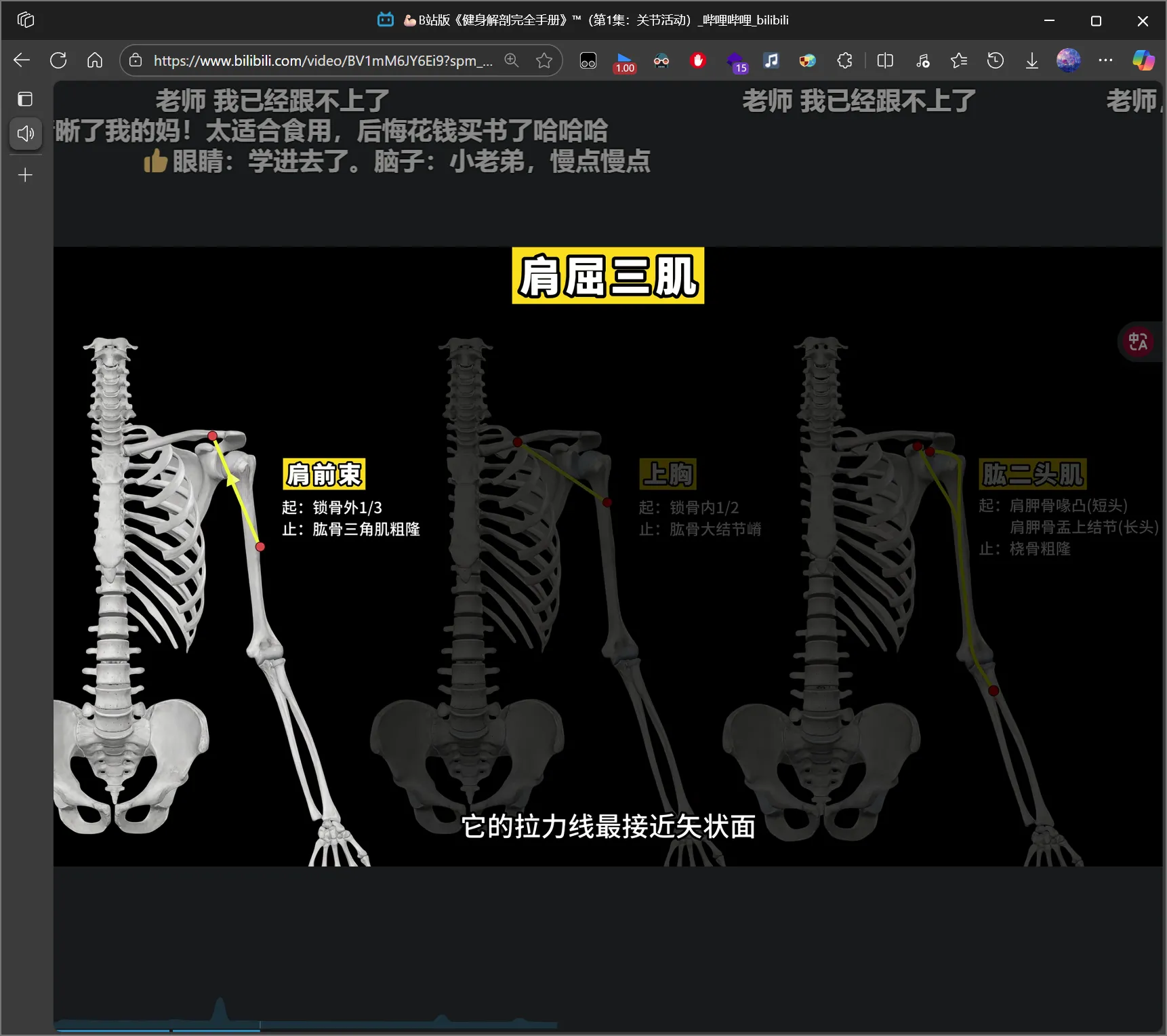 img_3.png